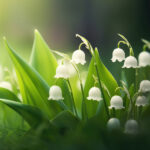 Fragrance Muguet