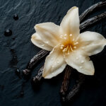 Fragrance Vanille Noire